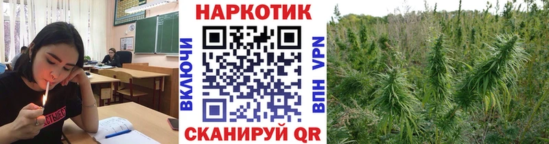 Где купить Жиздра СОЛЬ  Мефедрон  Галлюциногенные грибы  ГАШ  Бошки Шишки  Cocaine 