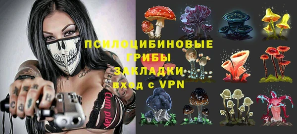 эйфоретик Абинск