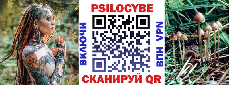 Псилоцибиновые грибы MAGIC MUSHROOMS  Жиздра 